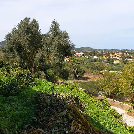 Live Finca El Gamonal Bajo Con Piscina Y Jardin En La Naturaleza Santa Brigida  Ngoại thất bức ảnh