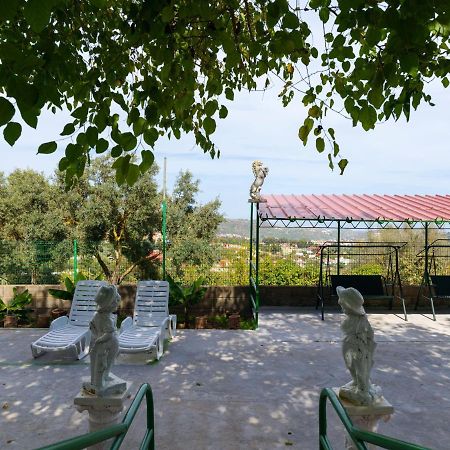 Live Finca El Gamonal Bajo Con Piscina Y Jardin En La Naturaleza Santa Brigida  Ngoại thất bức ảnh
