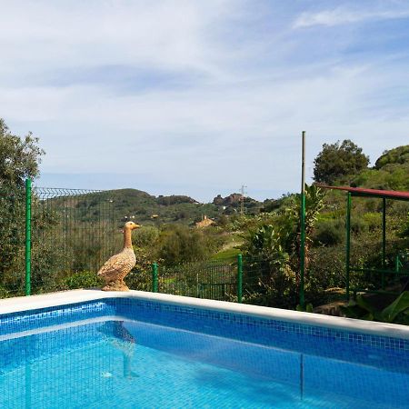 Live Finca El Gamonal Bajo Con Piscina Y Jardin En La Naturaleza Santa Brigida  Ngoại thất bức ảnh