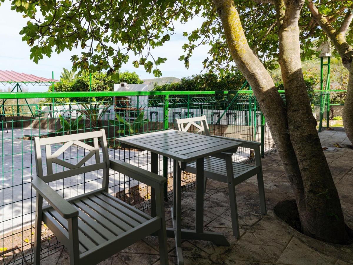 Live Finca El Gamonal Bajo Con Piscina Y Jardin En La Naturaleza Santa Brigida  Ngoại thất bức ảnh