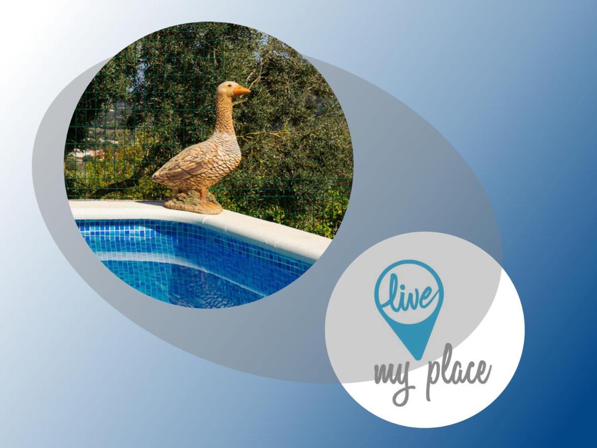 Live Finca El Gamonal Bajo Con Piscina Y Jardin En La Naturaleza Santa Brigida  Ngoại thất bức ảnh